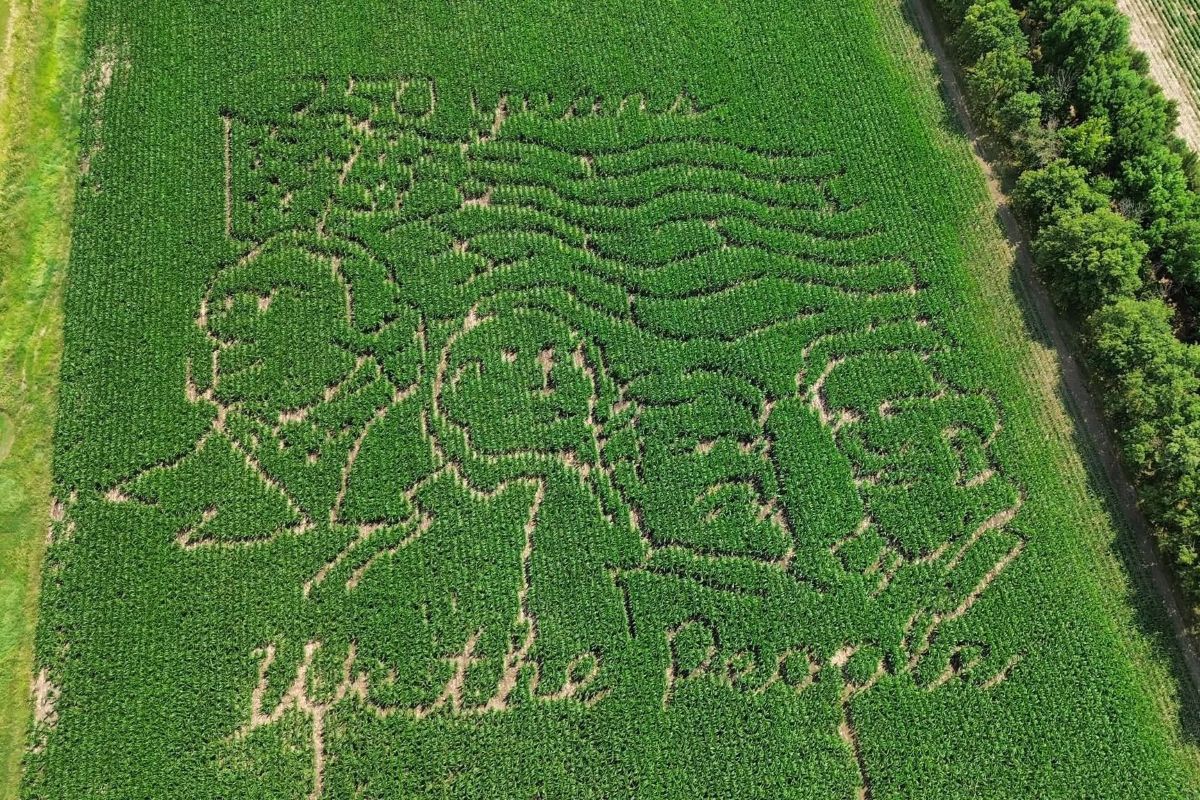 Streff Family Corn Maze in Salem celebrates America 250, supports Salem City Park