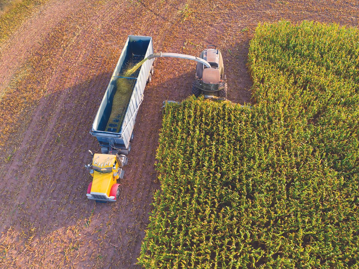 KMIT Harvest Lunch Celebrates Area Farmers With Catered Lunch Giveaways