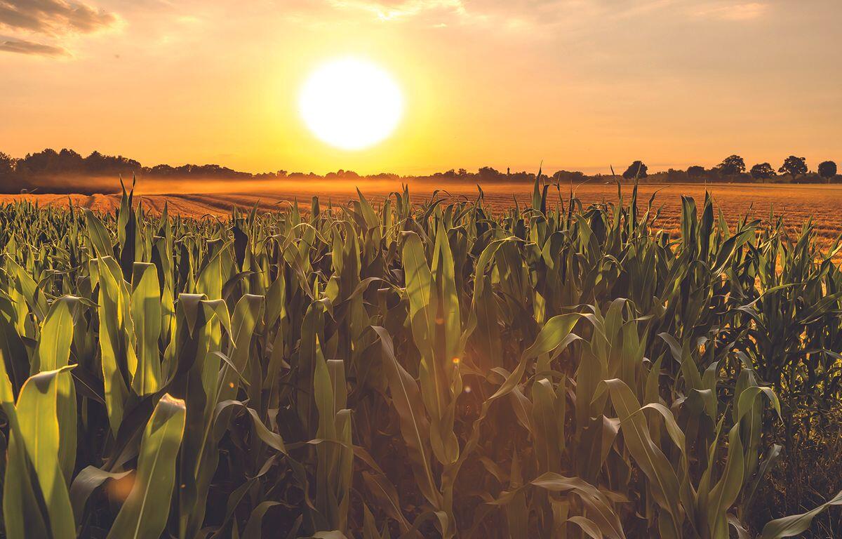 South Dakota Farmers & Ranchers in D.C. to Advocate for a Farm Bill that Works for Them