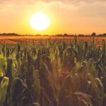 South Dakota Farmers & Ranchers in D.C. to Advocate for a Farm Bill that Works for Them