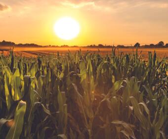 South Dakota Farmers & Ranchers in D.C. to Advocate for a Farm Bill that Works for Them