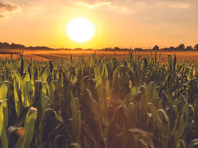 South Dakota Farmers & Ranchers in D.C. to Advocate for a Farm Bill that Works for Them