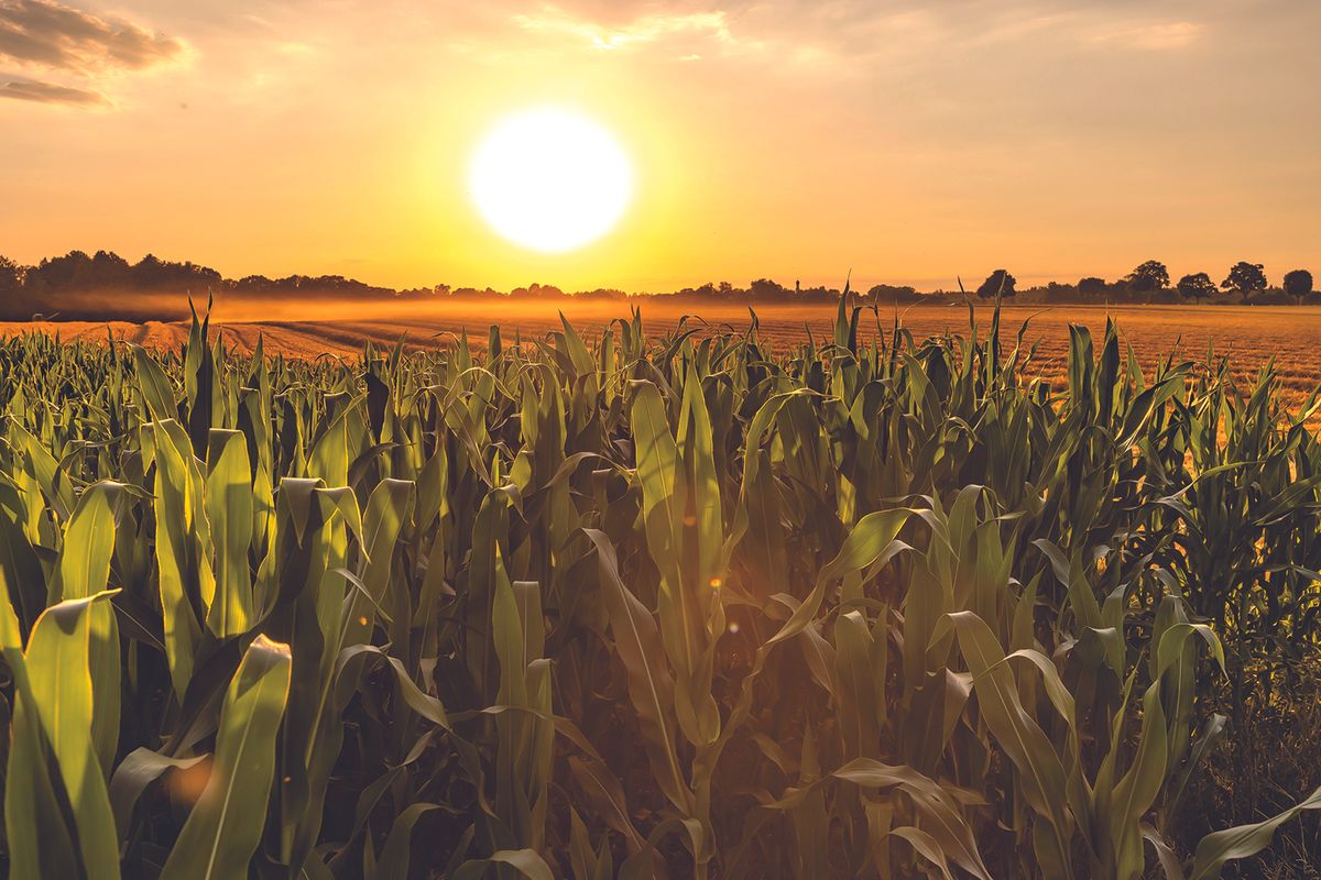 South Dakota Farmers & Ranchers in D.C. to Advocate for a Farm Bill that Works for Them