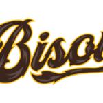 Palace City Bison to Play 20 Home Games at Cadwell Park in 2027