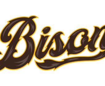Palace City Bison to Play 20 Home Games at Cadwell Park in 2027