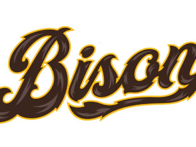 Palace City Bison to Play 20 Home Games at Cadwell Park in 2027