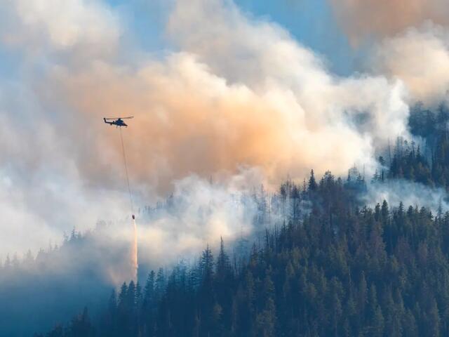 Prescribed burn near Custer could bring smoke ahead of Halloween travel