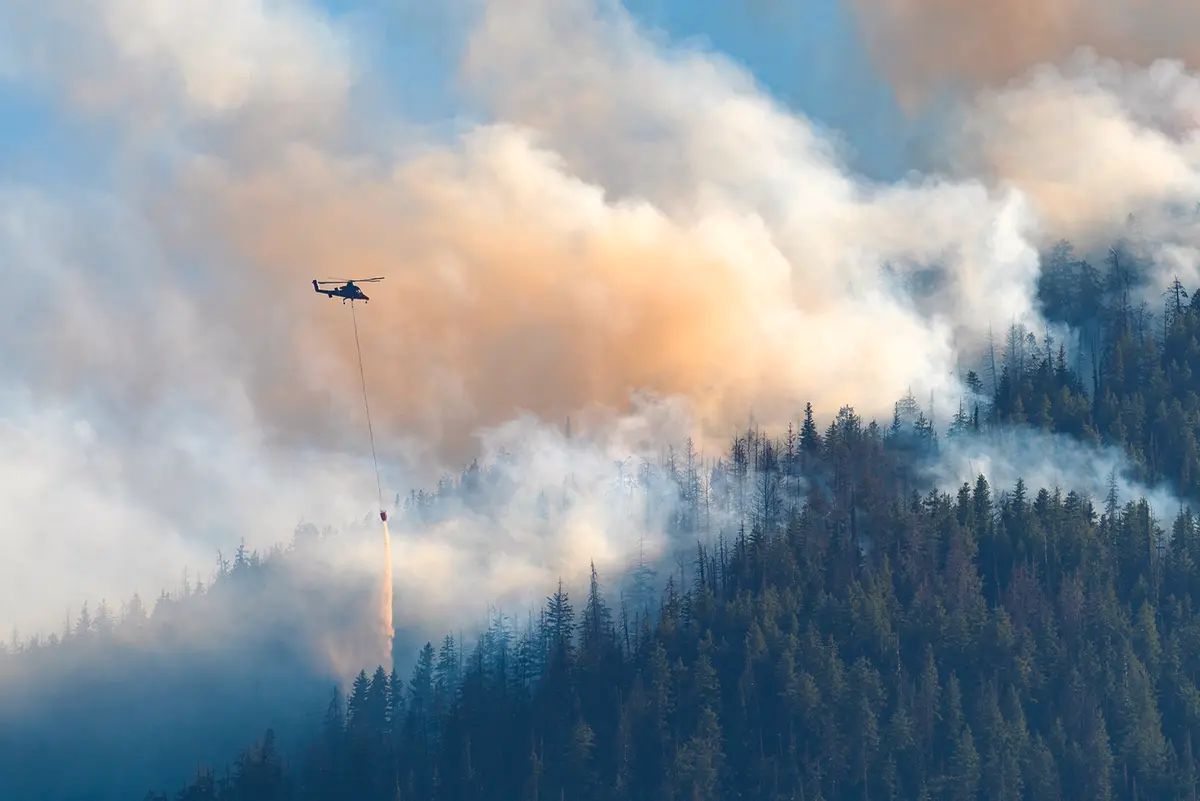 Prescribed burn near Custer could bring smoke ahead of Halloween travel