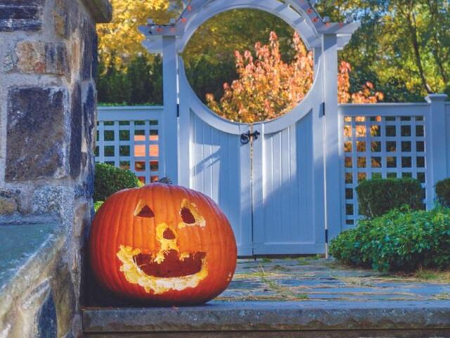 Mitchell families can prepare for Halloween with pumpkin-carving ideas, simple decorating tips and ways for younger children to join the fun.