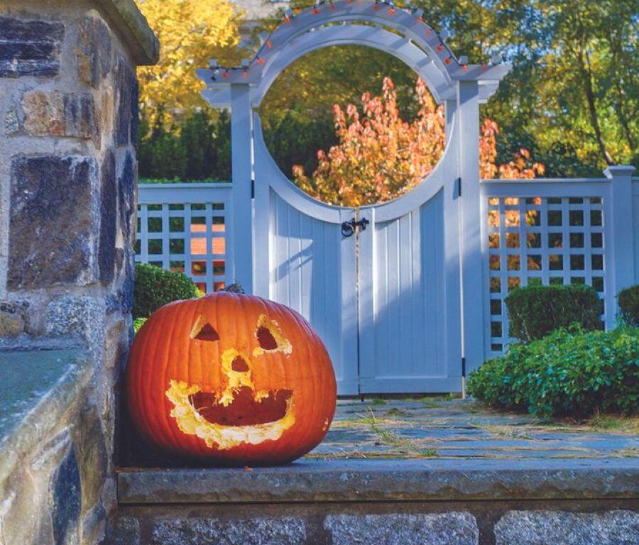 Mitchell families can prepare for Halloween with pumpkin-carving ideas, simple decorating tips and ways for younger children to join the fun.