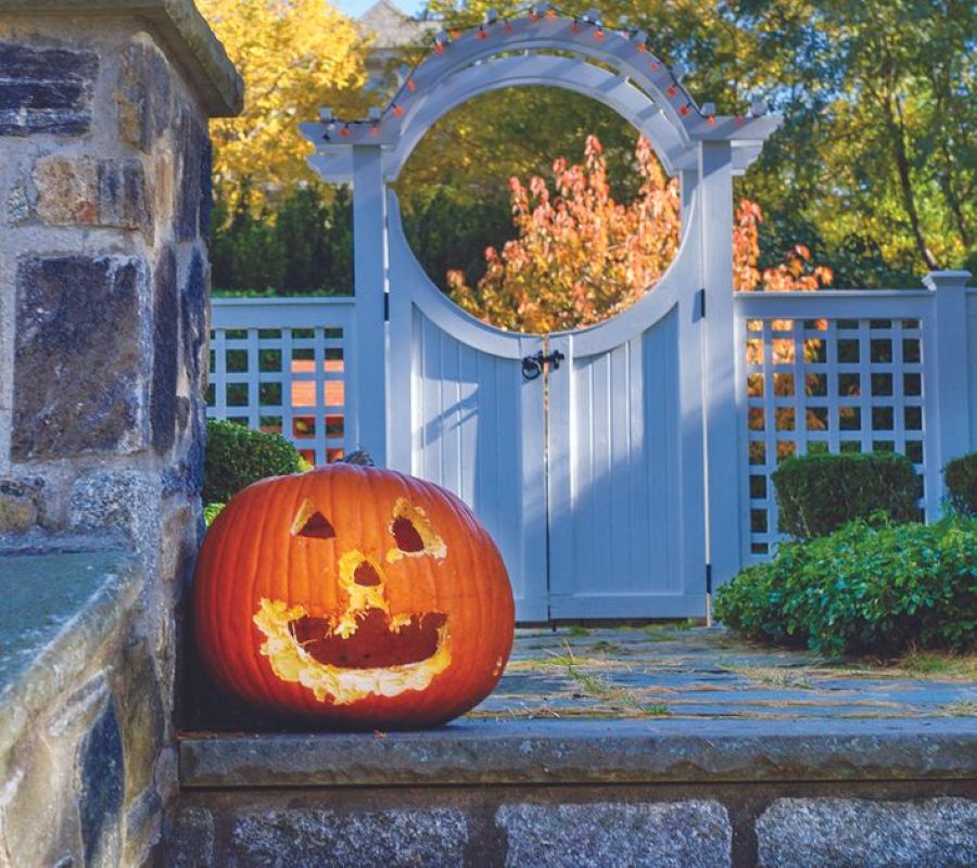Mitchell families can prepare for Halloween with pumpkin-carving ideas, simple decorating tips and ways for younger children to join the fun.