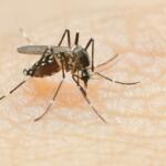 Mitchell to spray for Mosquitos Tuesday evening starting at 7 p.m.